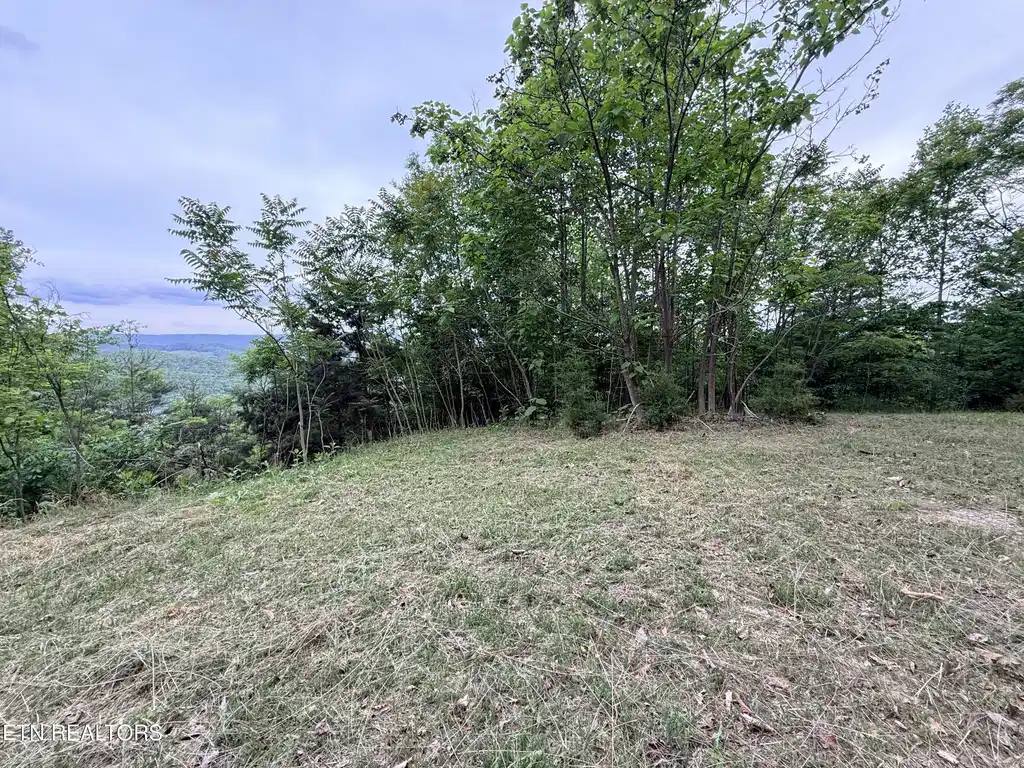 Image 1: Lot 681R