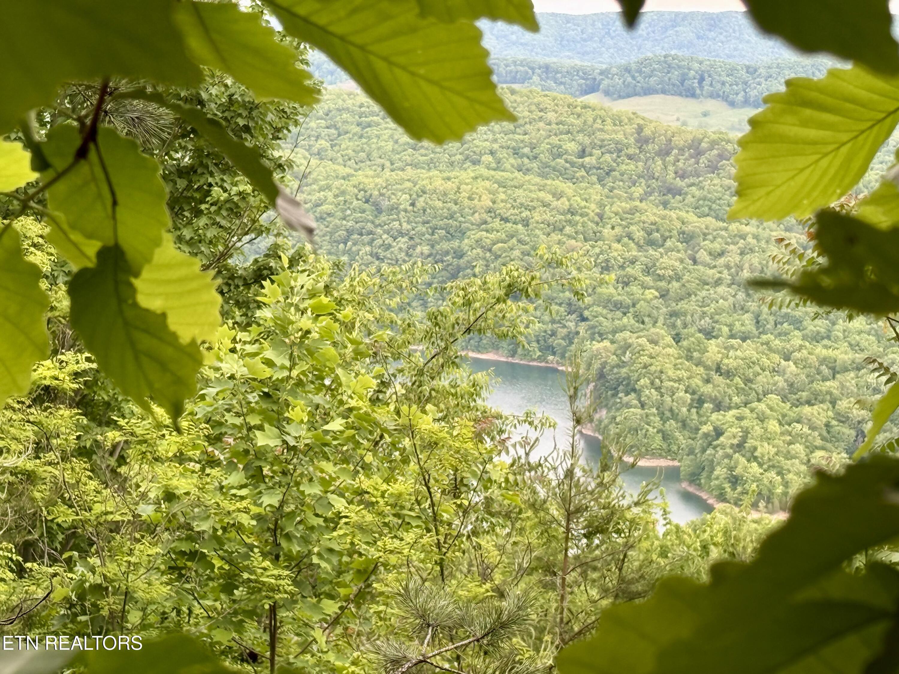 Image 3: View from Lot 681R