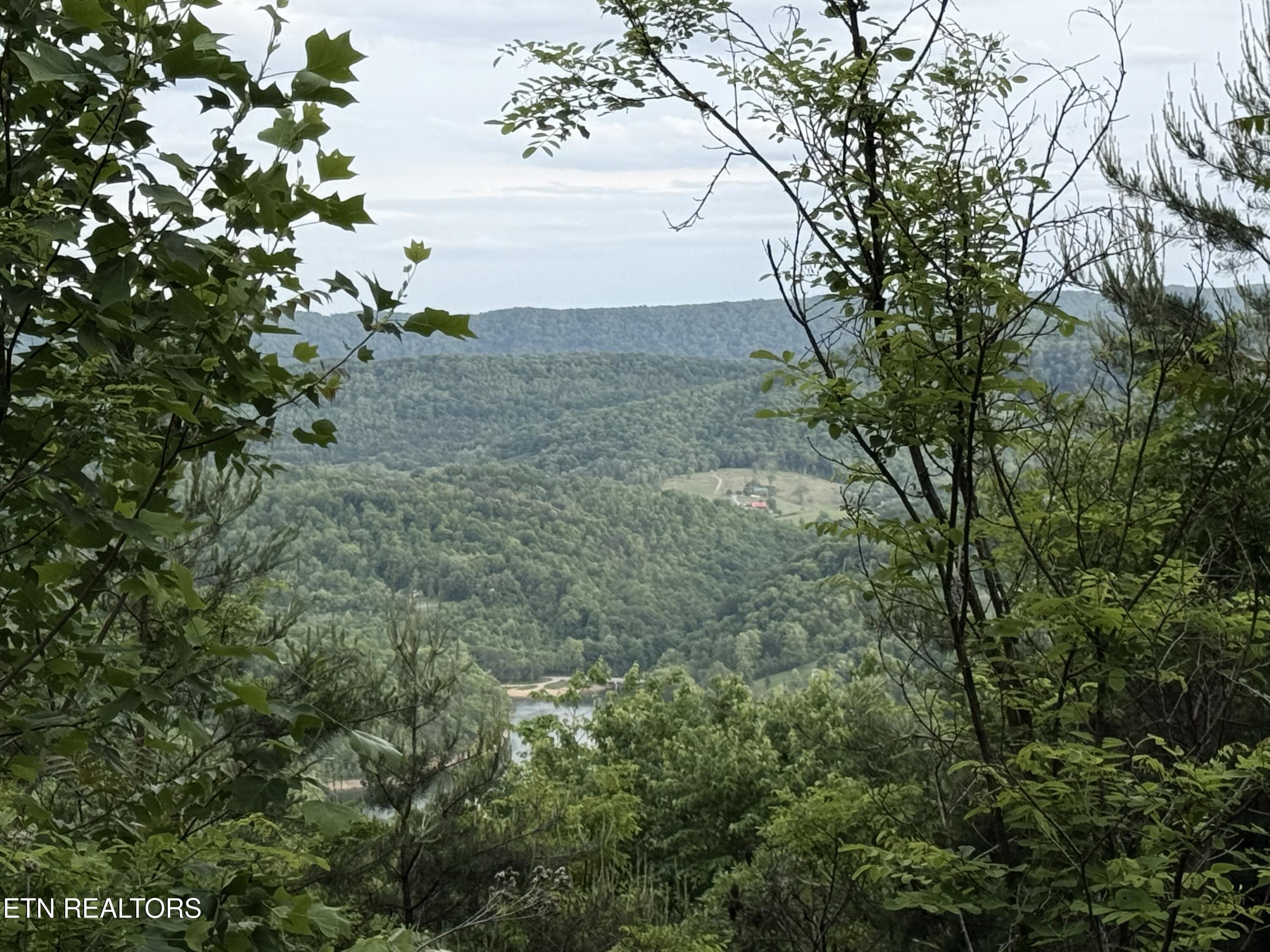 Image 4: View from Lot 681R
