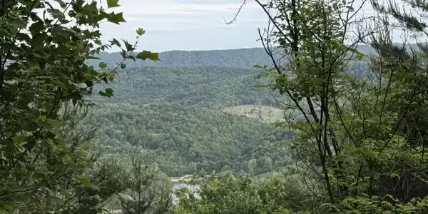 Image 4: View from Lot 681R