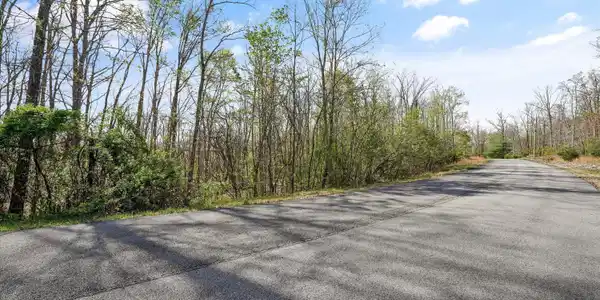 Image 4: 313 Country Wood Pl02