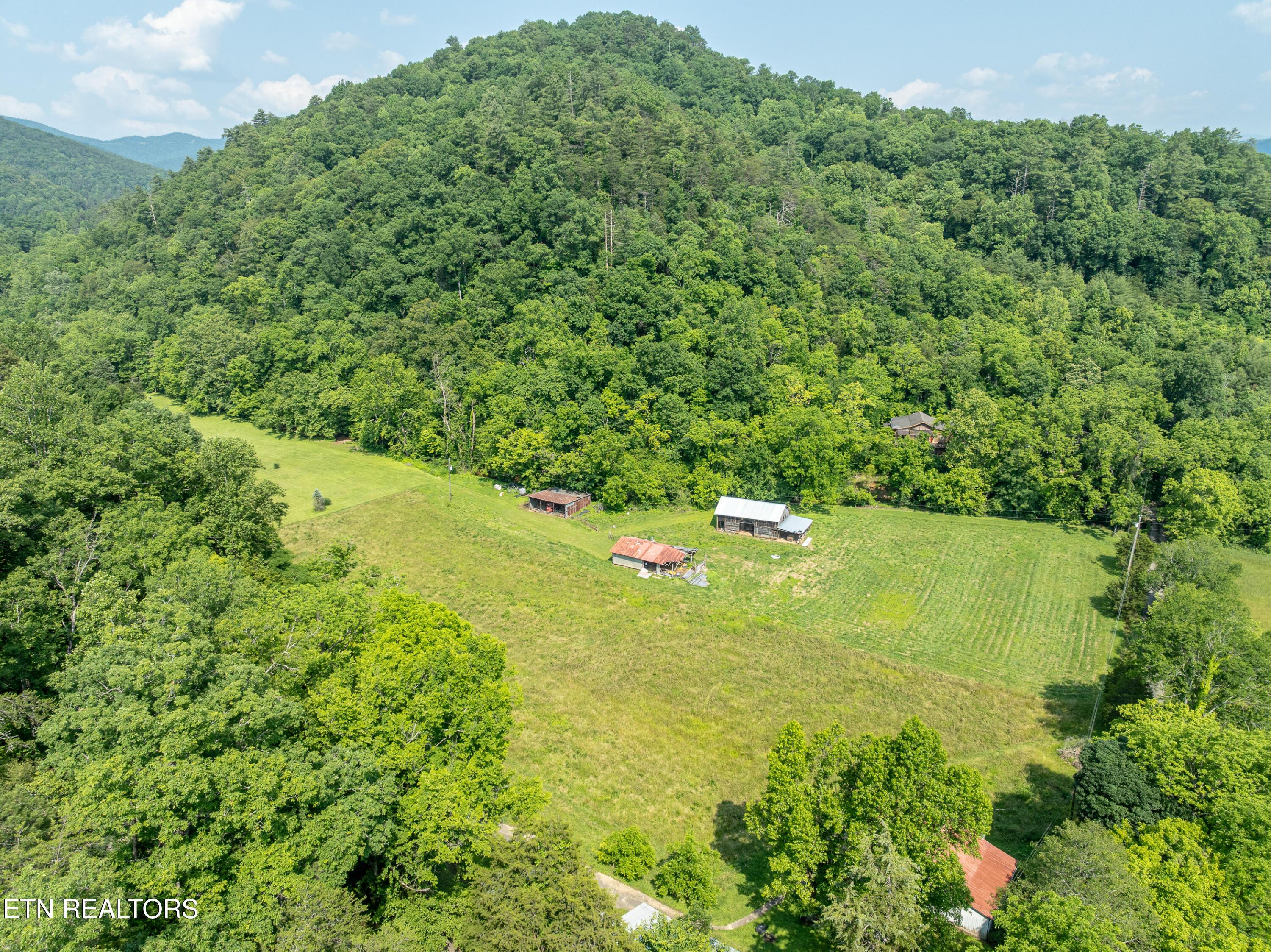 Image 1: DJI_0004