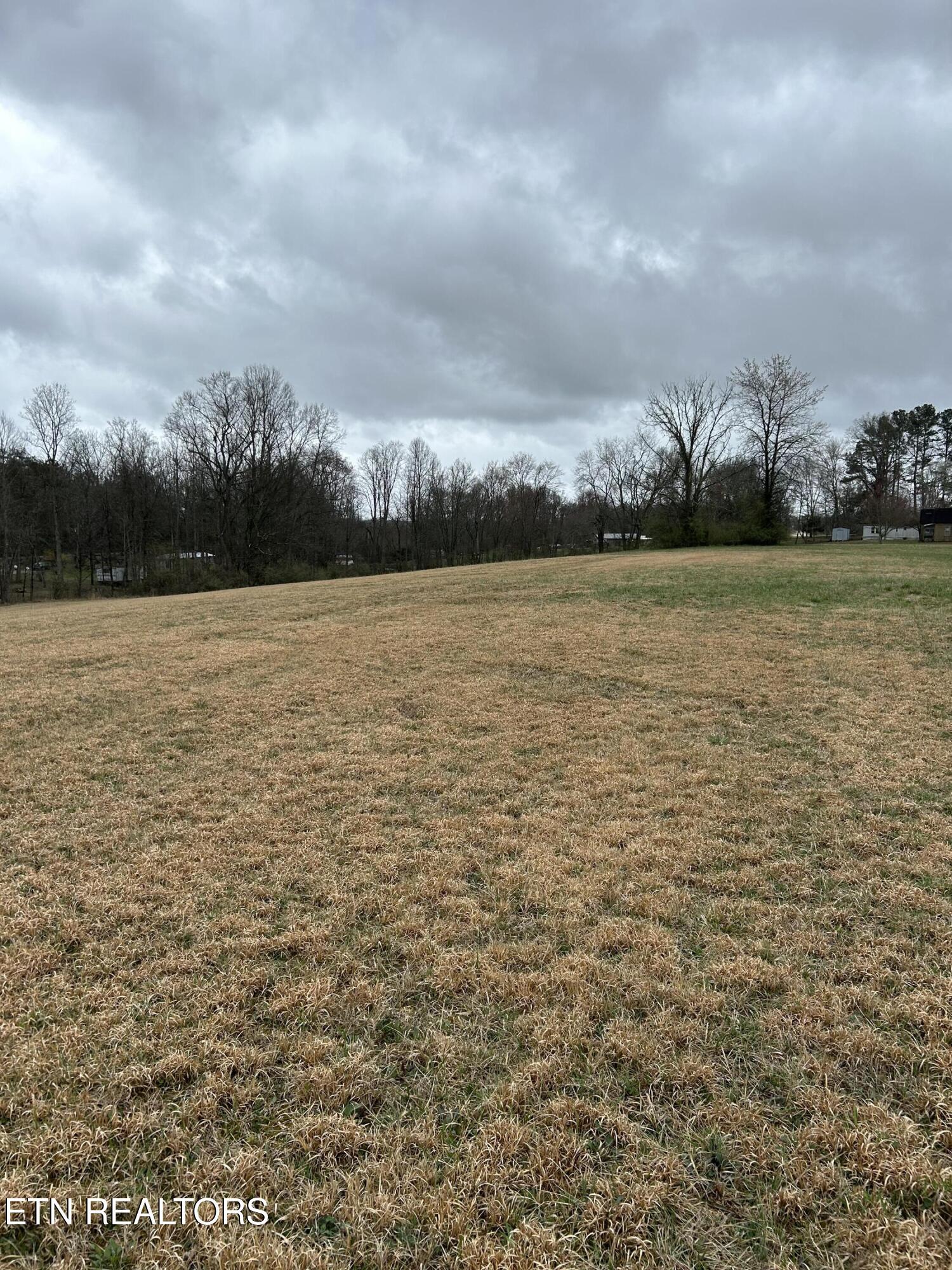 Image 3: IMG_1215