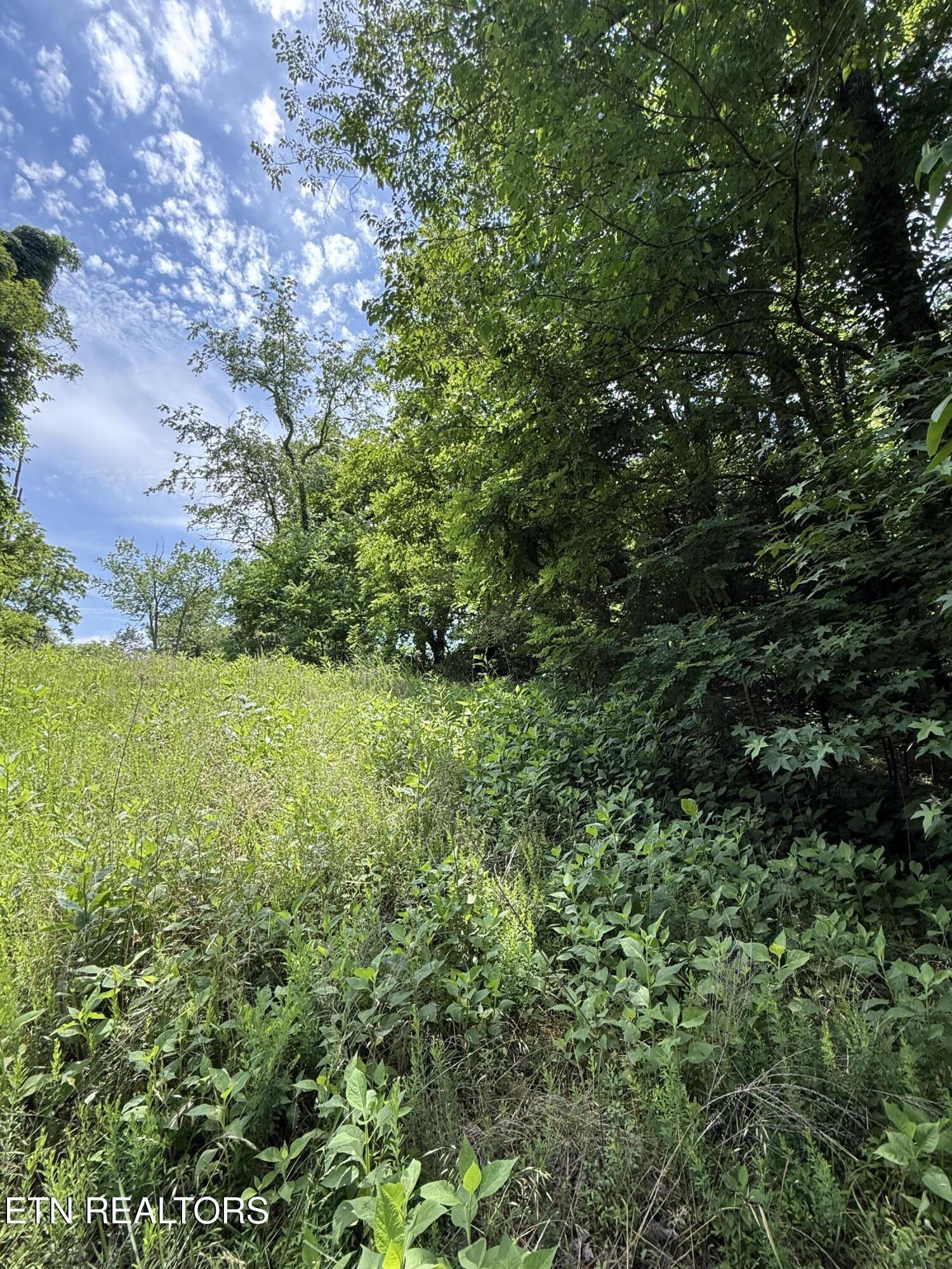 Image 2: IMG_6380