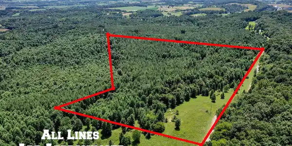 Tract 9 Flatwoods Rd