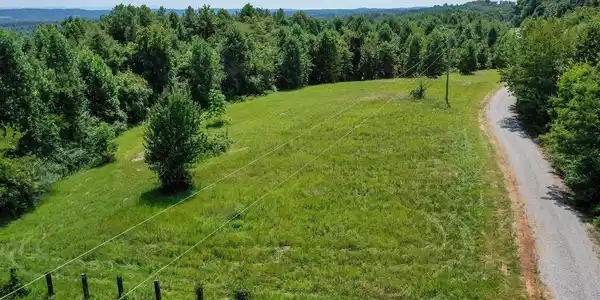 Image 2: Flatwoods 7