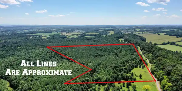 Image 4: Flatwoods 3