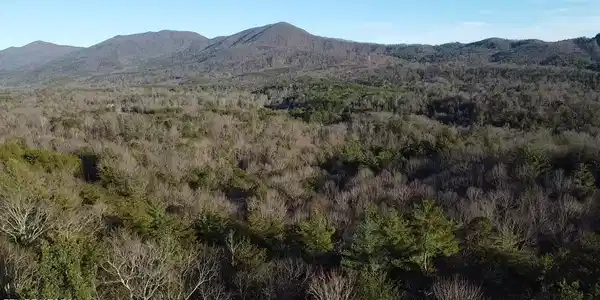 Cooper Hollow Rd