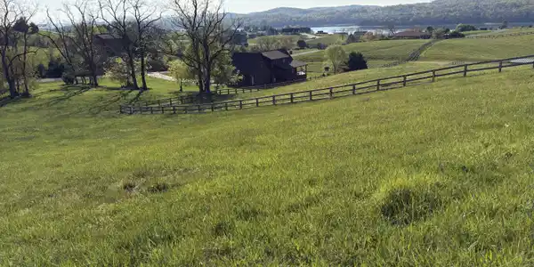 Image 4: Lot 86 Swan Song Trail