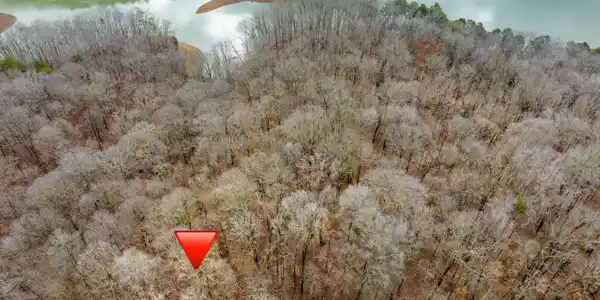 Image 3: DJI_20240223101458_0020_D.jpg-SMALL