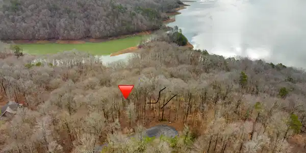 Image 4: DJI_20240223101426_0015_D.jpg-SMALL