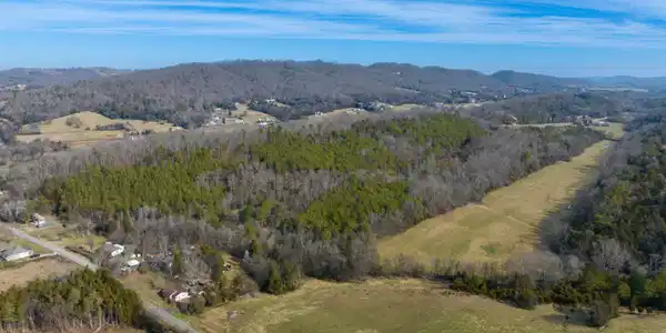 Image 2: French Mill-1
