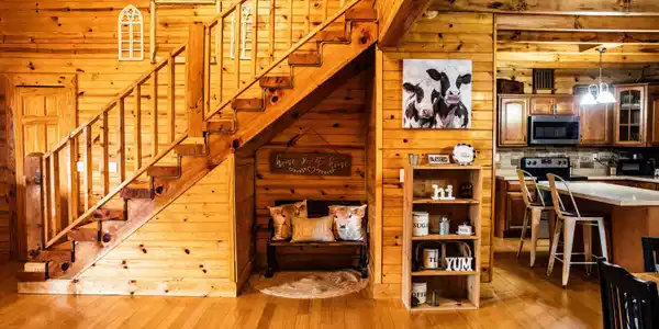 Image 4: Downstairs