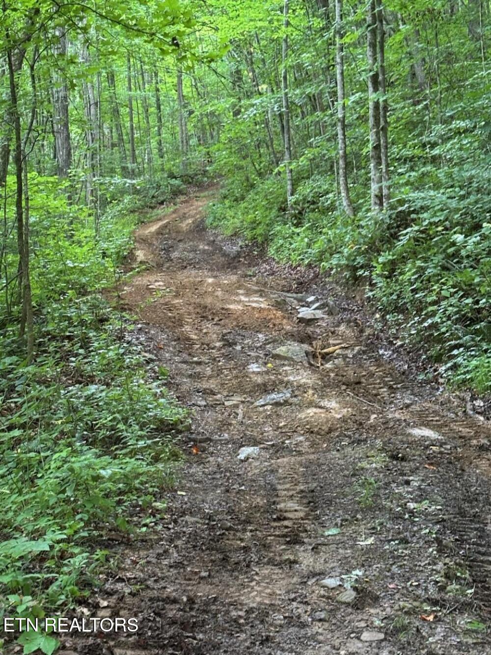 Image 4: access rd 1