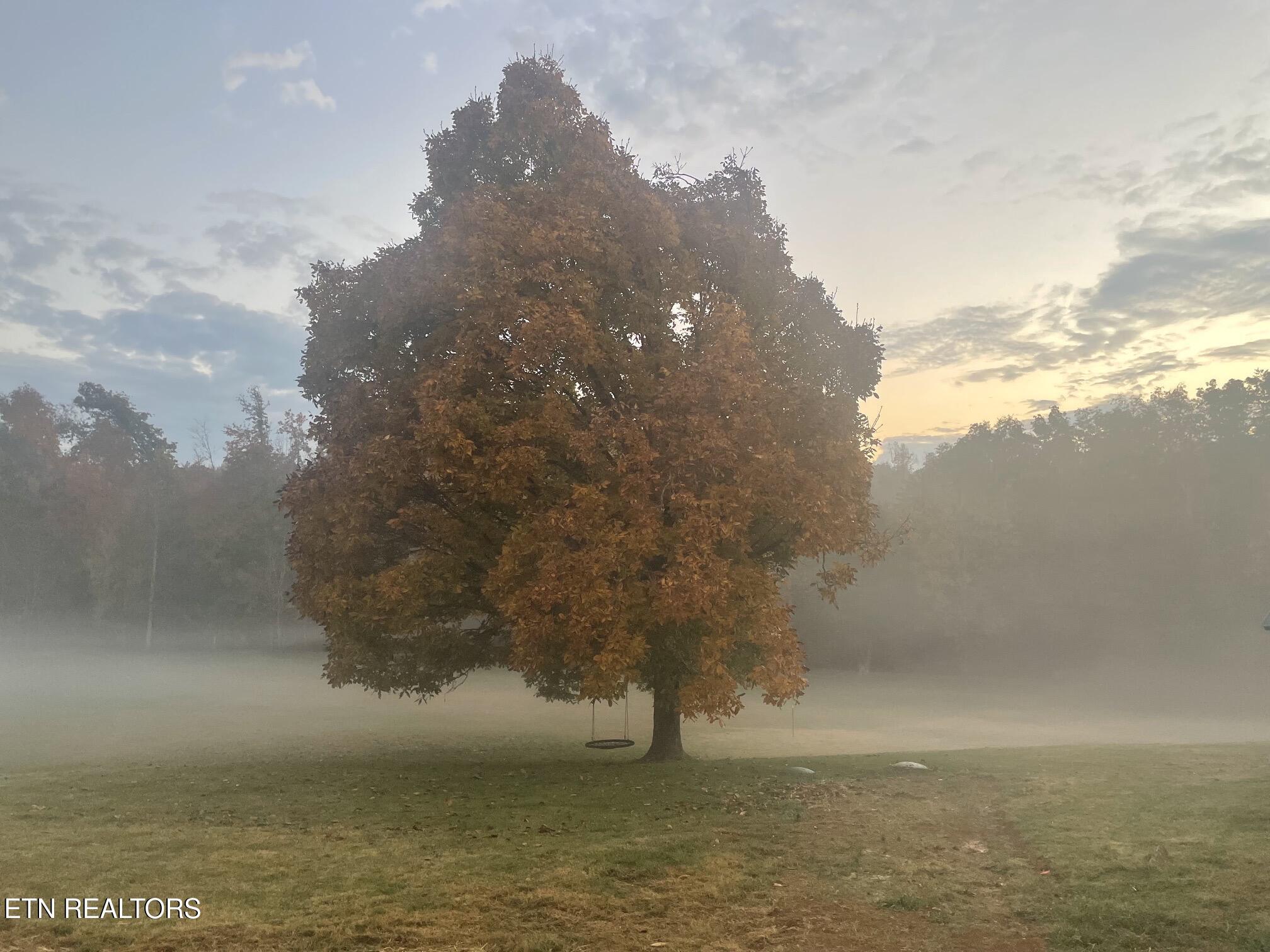 Image 4: IMAGINE WAKING UP TO THE LANDS BREATH