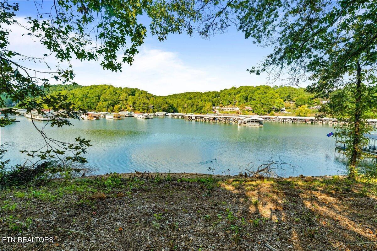 Image 4: NorrisLake-Shore-View-Lot-TN.jpg