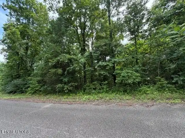 Image 1: Saddleridge Dr.