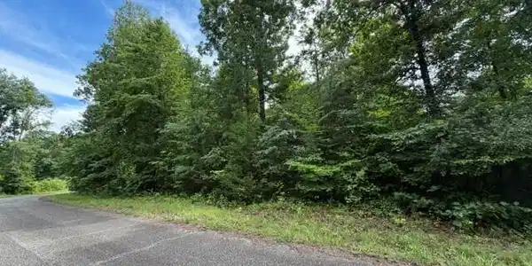 Image 2: Saddleridge Dr.