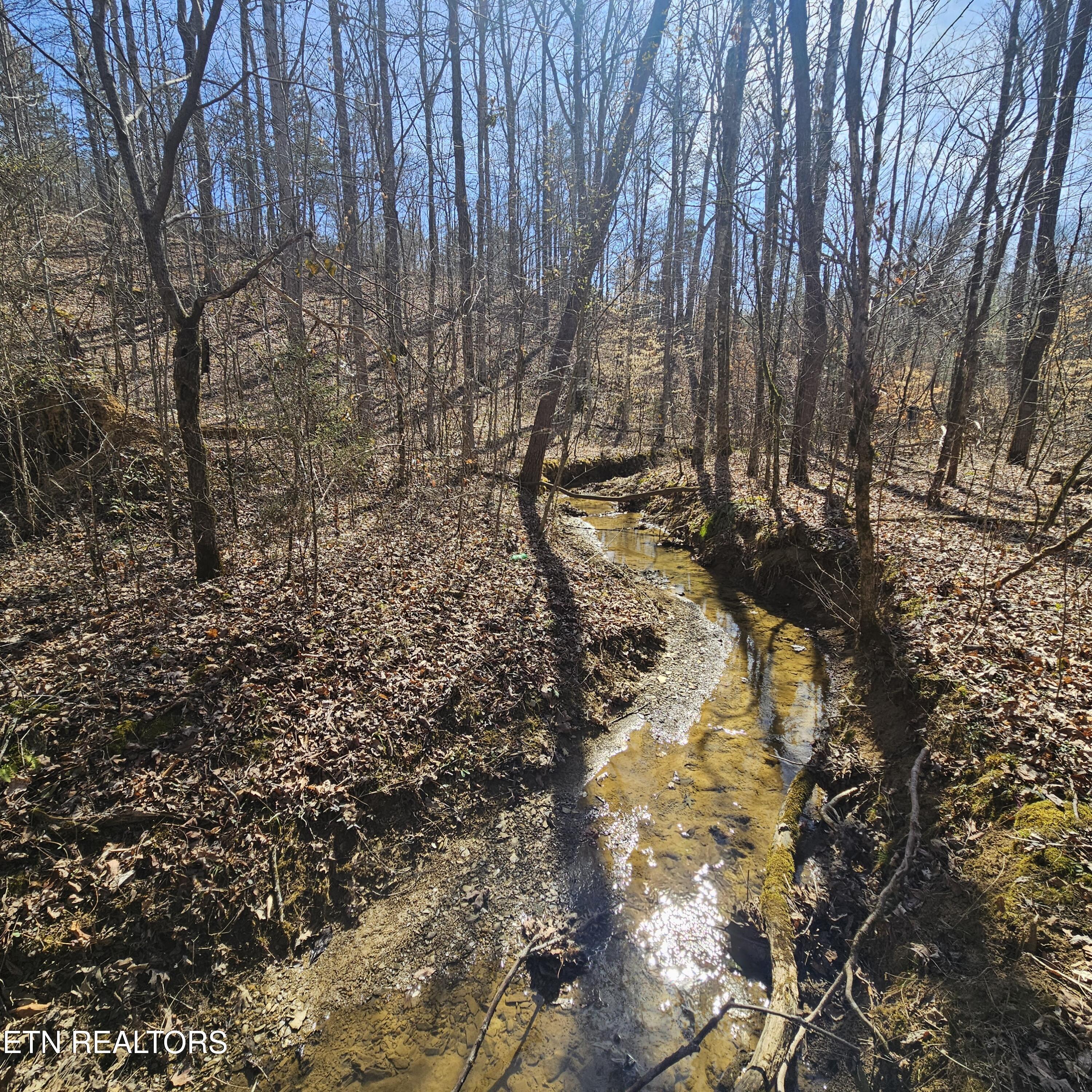 Image 1: wonderful meandering creek!