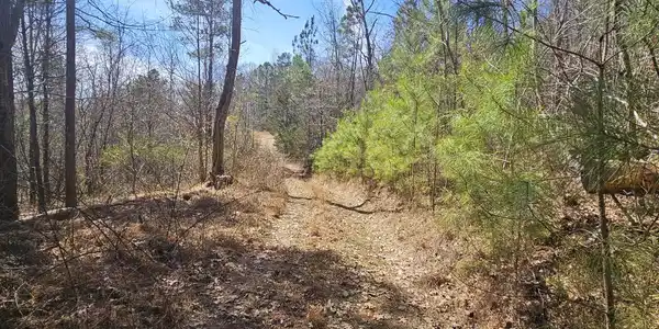 Image 2: Road goes all the way to the top