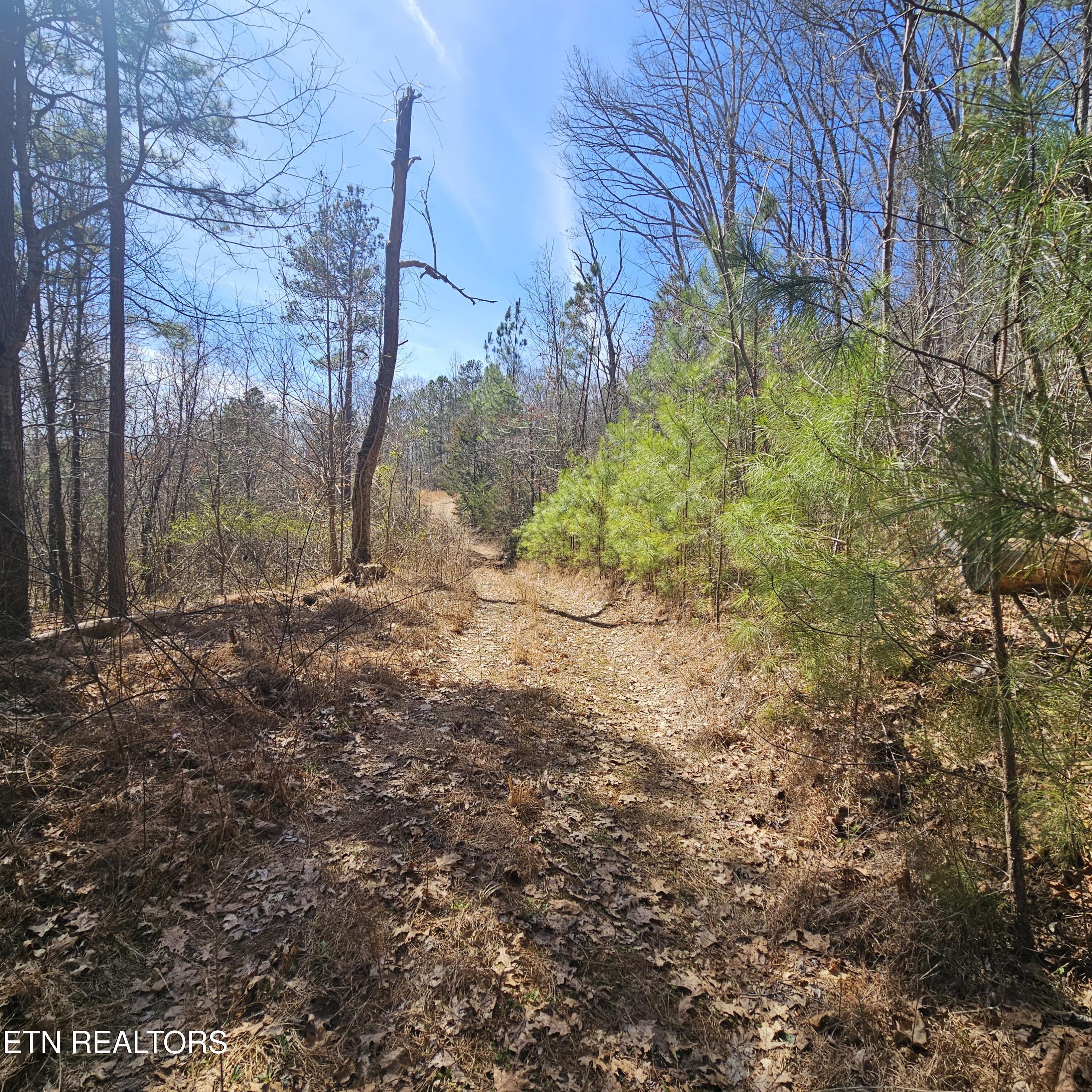 Image 3: Road goes all the way to the top