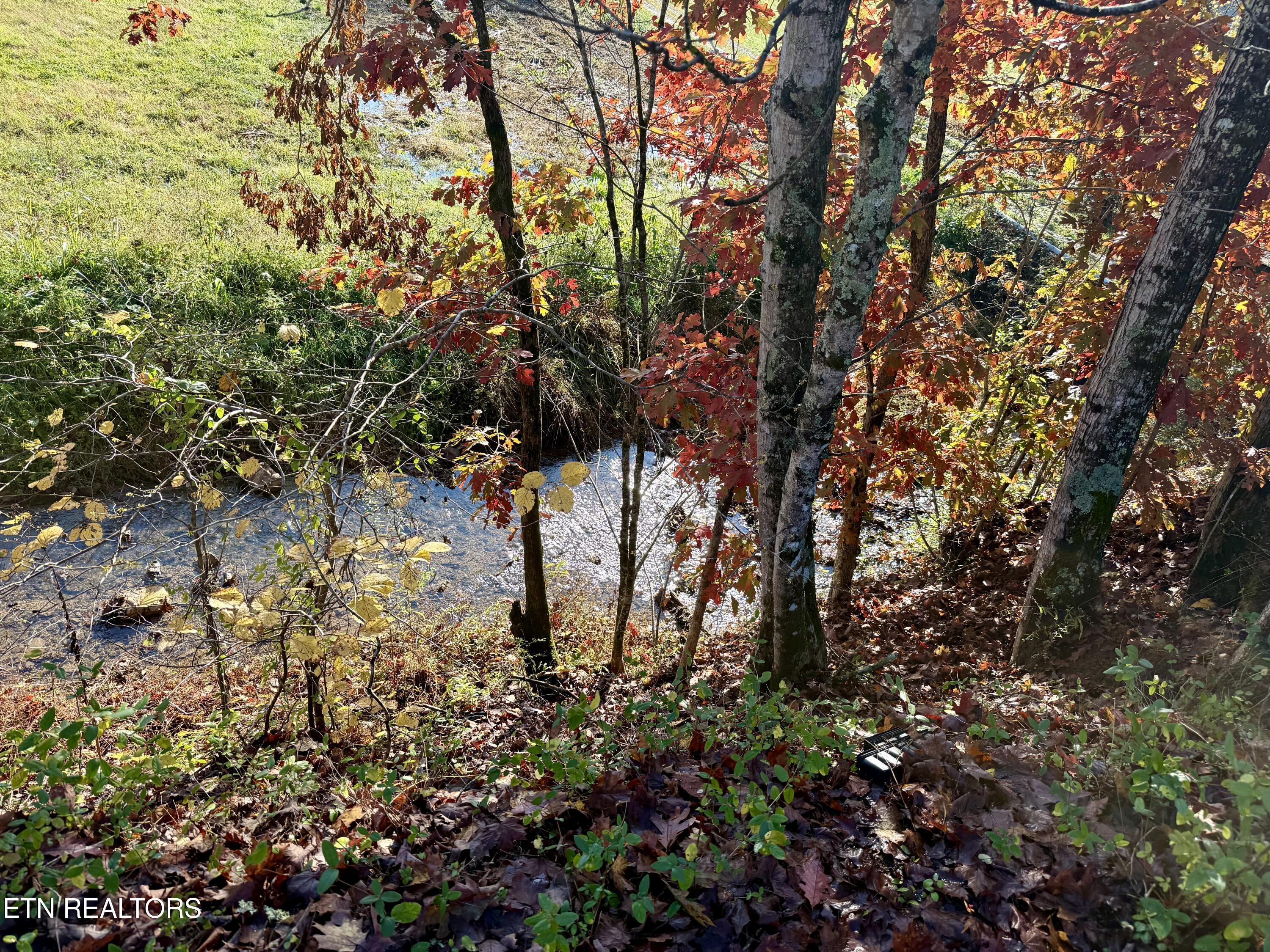 Image 2: Beautiful musical year round creek