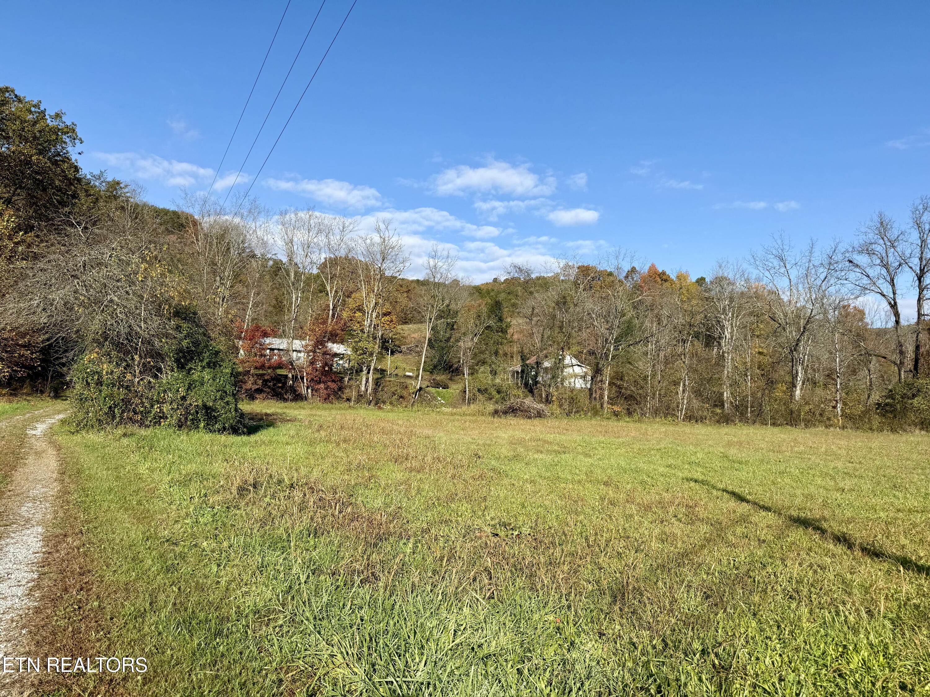 Image 3: Pasture area between homes and road