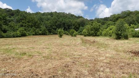5.6 ac Lonnie Reecer Rd
