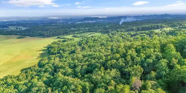 Image 3: 04-667 Derrick Rd08