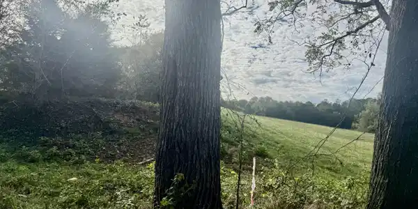 HARMON Rd