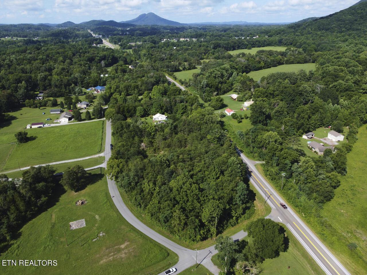 Image 4: Land For Sale 4 (1)
