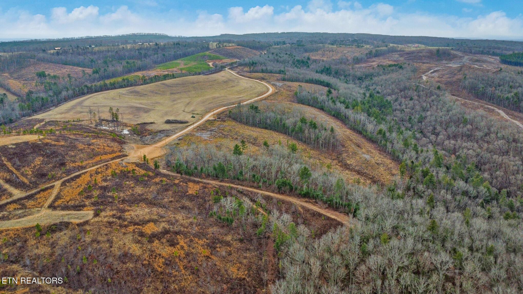 Image 4: Aerial View