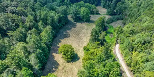 Image 4: DJI_20260904131242_0082_D_39