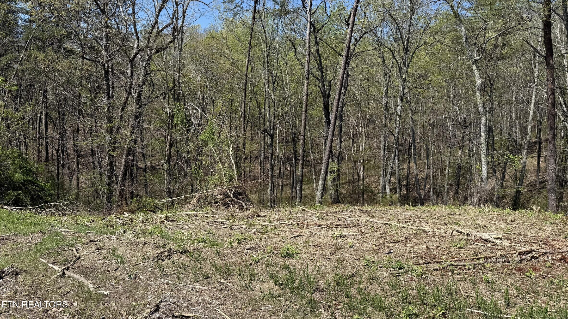Image 3: IMG_3441