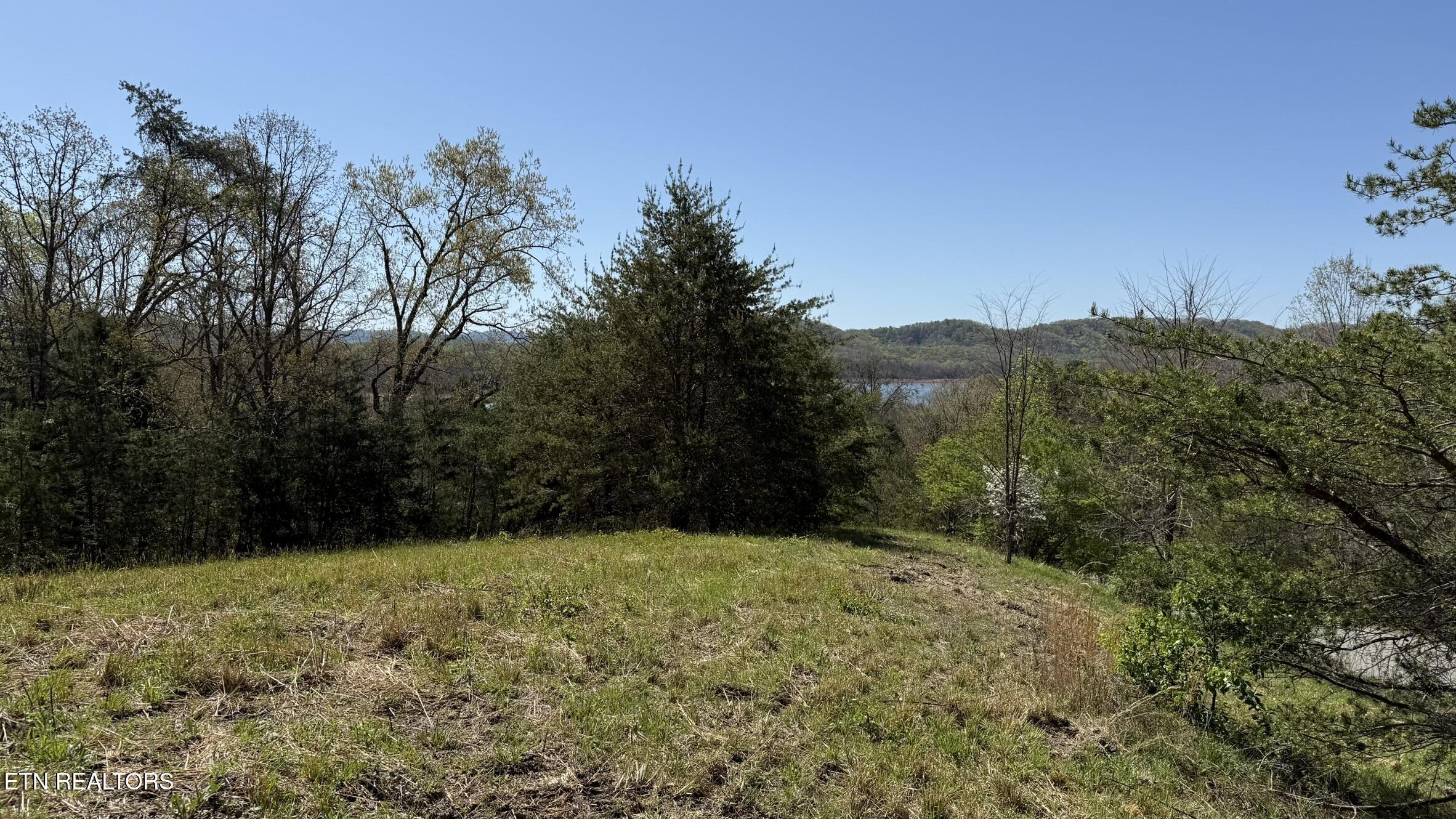 Image 4: IMG_3448