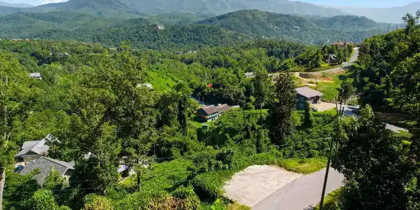 Image 4: 07-DJI_0015