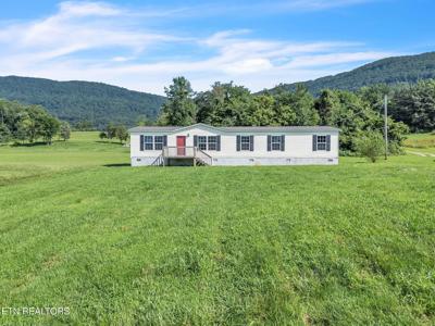 233 Orange Lane
