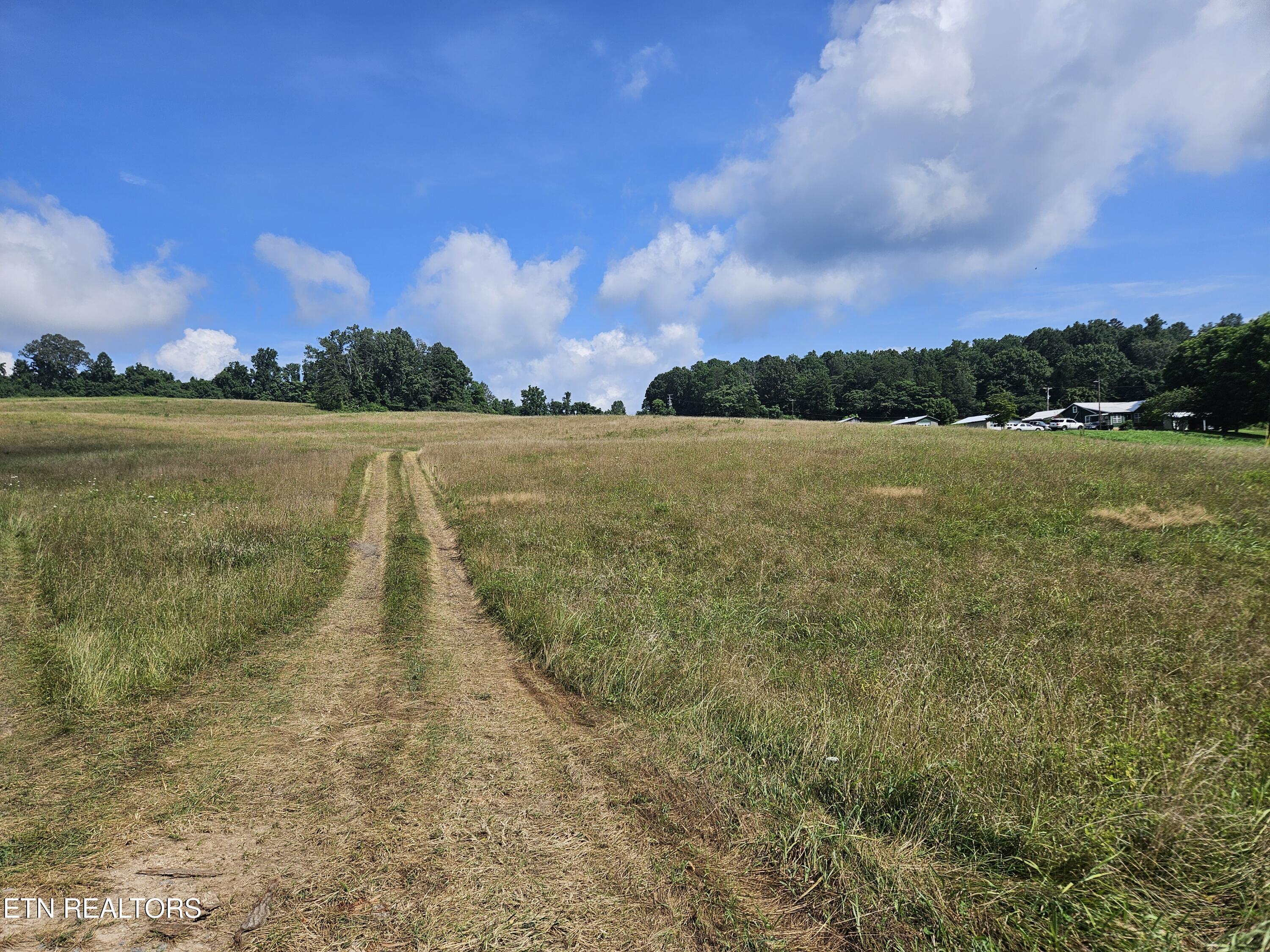 Image 3: 20250721_110414