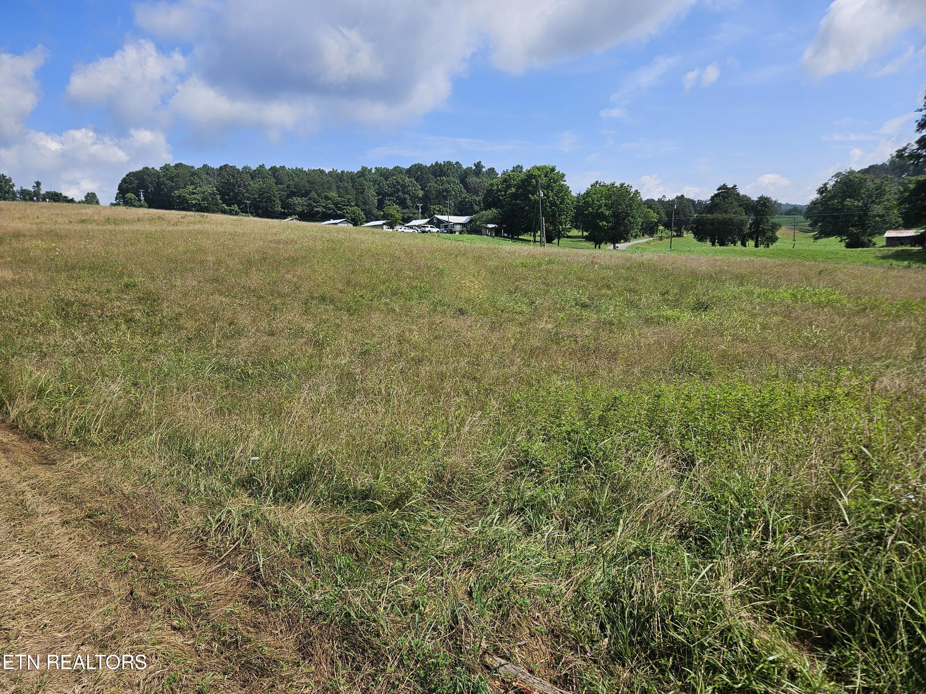 Image 4: 20250721_110416