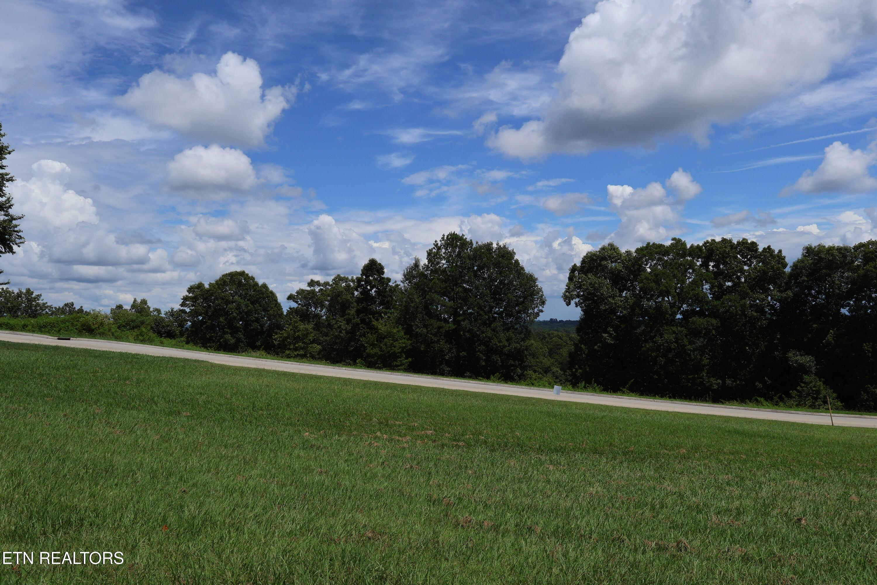 Image 4: IMG_0236