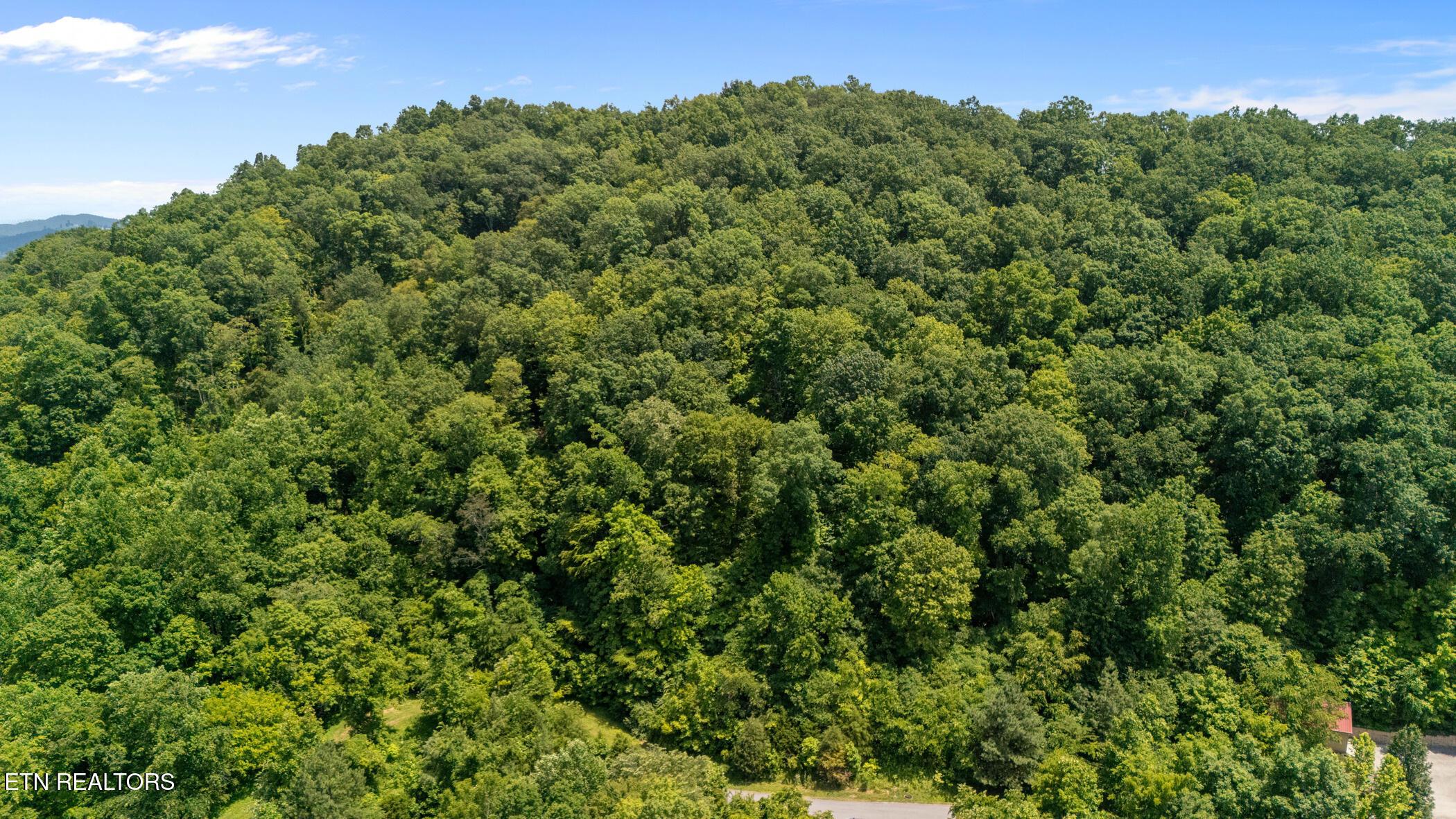 Image 2: Lot 94