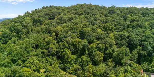 Image 2: Lot 94