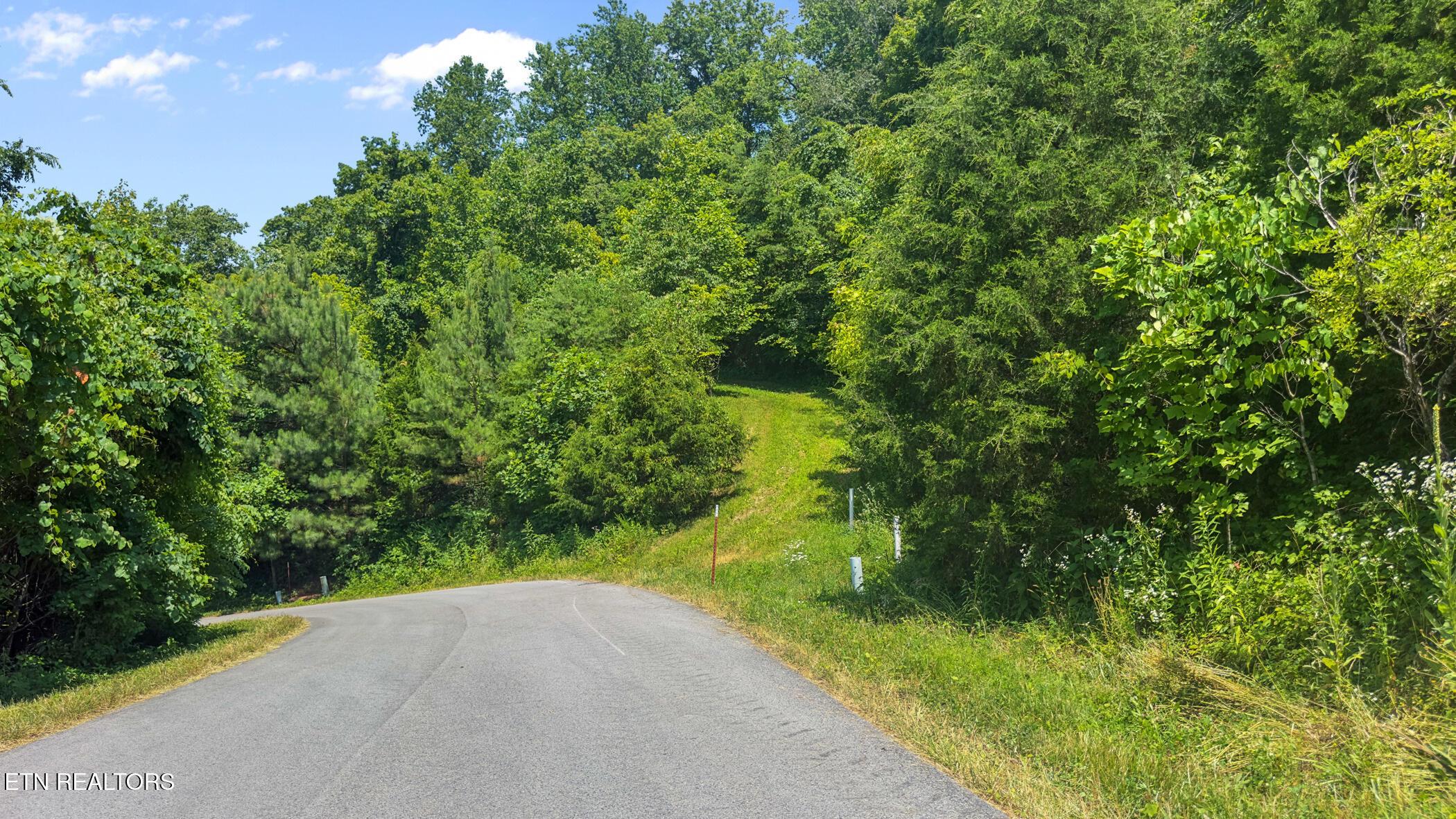 Image 3: Road Frontage
