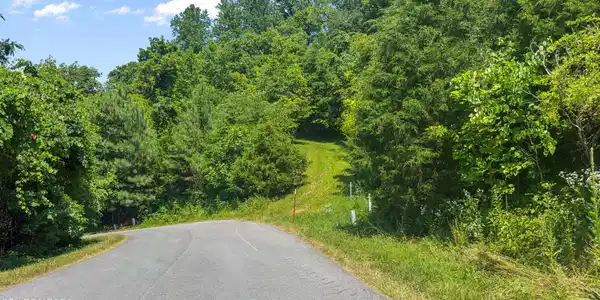 Image 3: Road Frontage