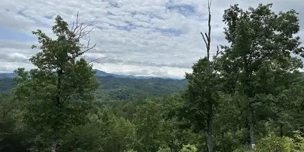 Misty Bluff Trail Tr