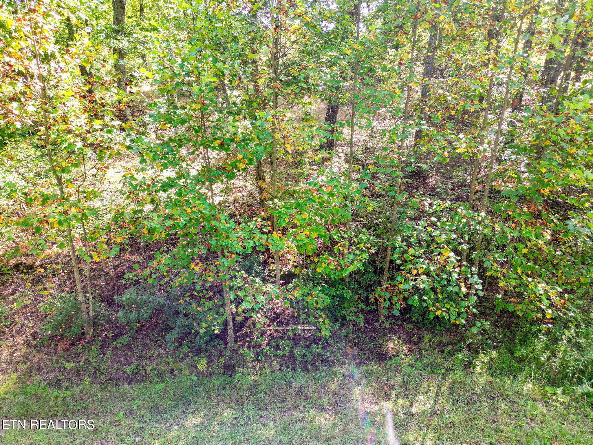 Image 3: 3-web-or-mls-003--FULL
