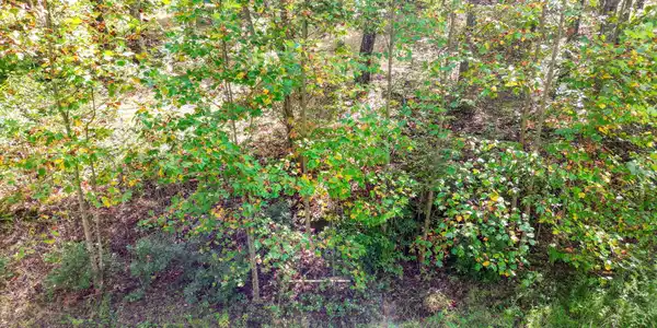 Image 3: 3-web-or-mls-003--FULL