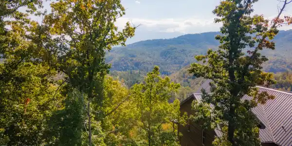 Image 3: DJI_0382-HDR