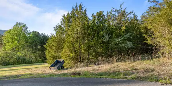 Image 3: Regent Dr 0001