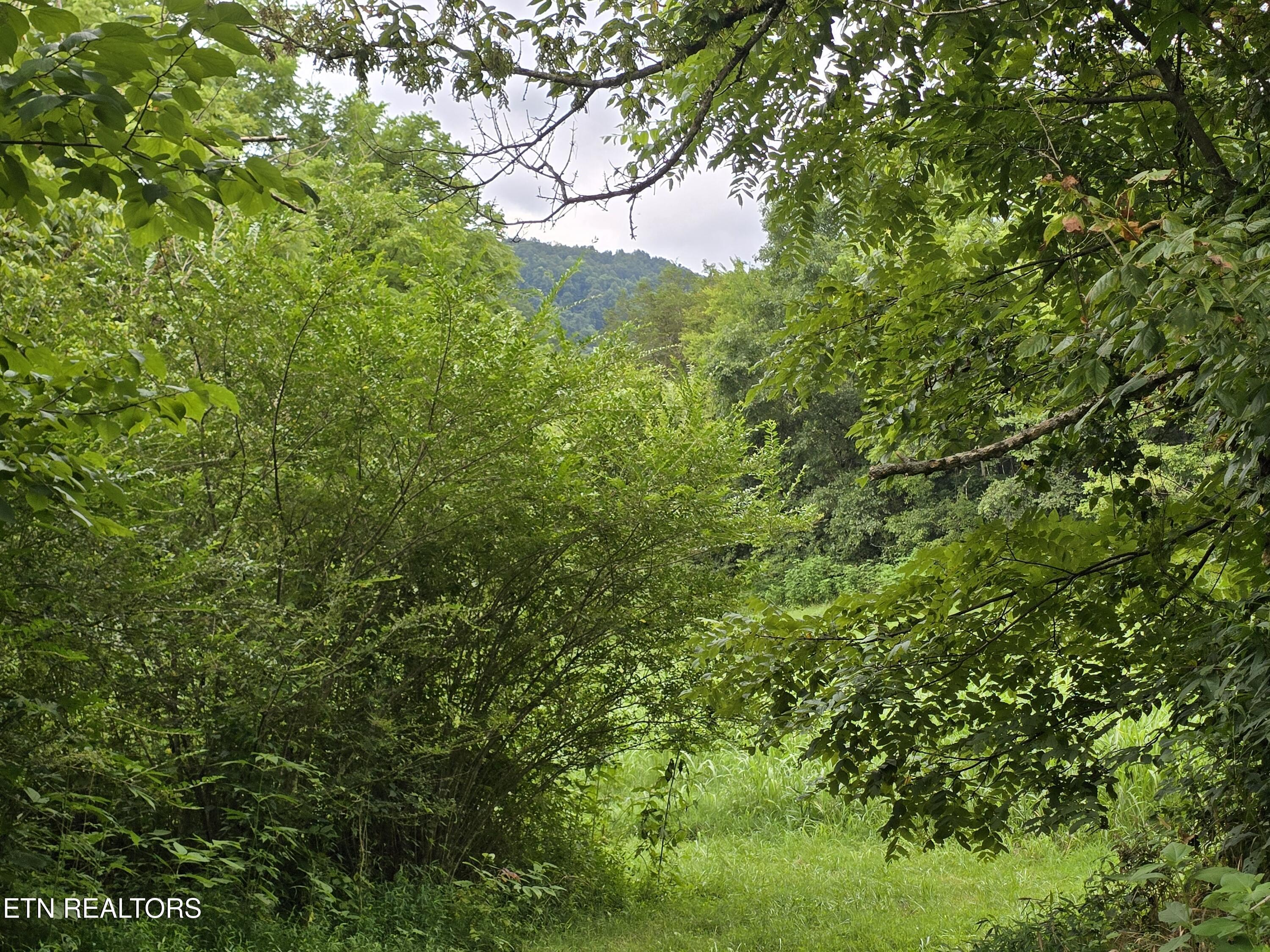 Image 3: 20250804_173044